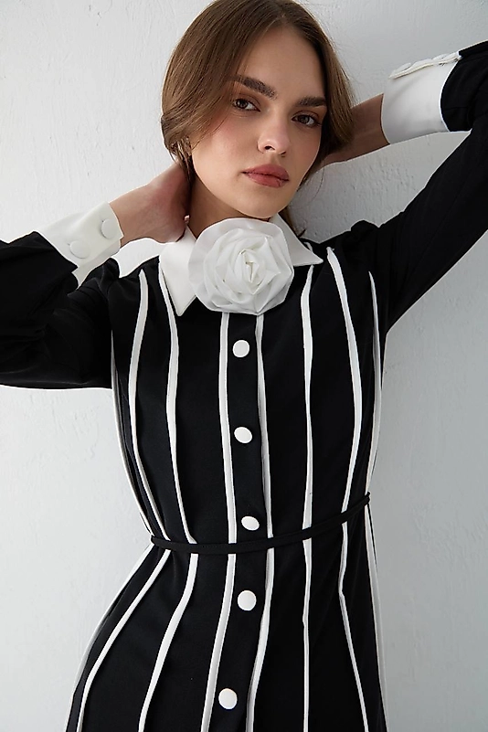 Biyeli Broş Detaylı Krep Elbise – Siyah