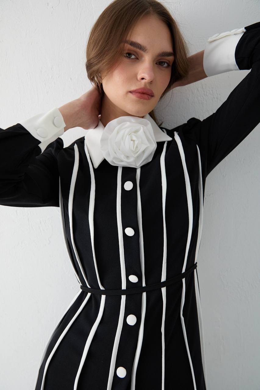 Biyeli Broş Detaylı Krep Elbise – Siyah